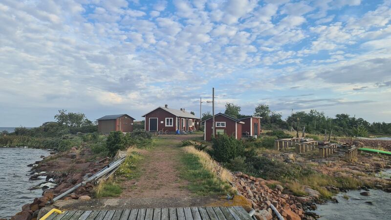 Datei:20250815 074055.jpg