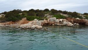 20250928-1556 SONY DSC-HX60V RE.JPG