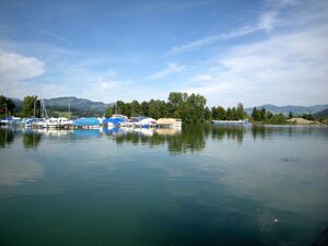 27 Nuolen Kiebitz 3.JPG