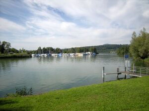 27 Nuolen Kiebitz 4.JPG