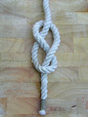 Achtknoten 1.JPG