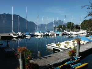 CH Vierwald WeggisCentral.jpg