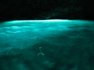 Cres Zanja Blaue Grotte 2.JPG