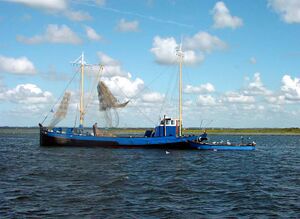 Grevelingen Fischer.jpg