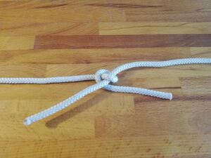 Harnischknoten A02.jpg