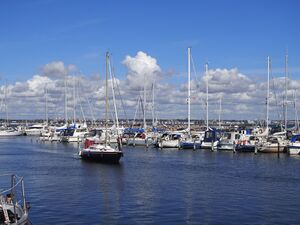 Hinter der Einfahrt.jpg