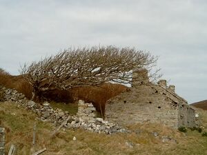 Irland5-Malin Head.JPG