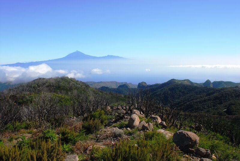Datei:LaGomera.JPG