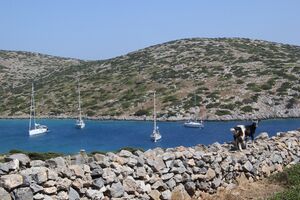 Levitha 06 2015.jpeg