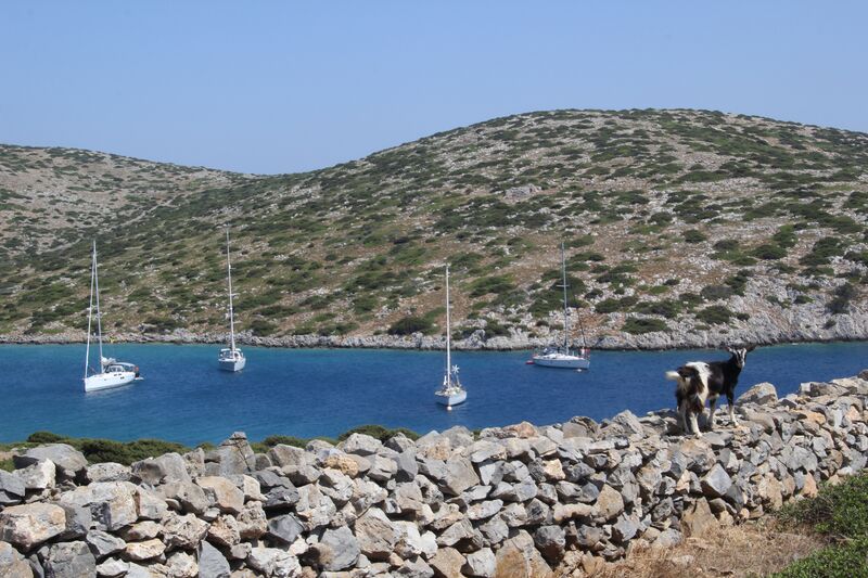 Datei:Levitha 06 2015.jpeg