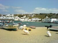 König Petros und Gespielinnen