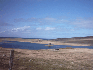 Northuist4.gif