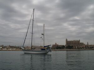 Palma3.JPG