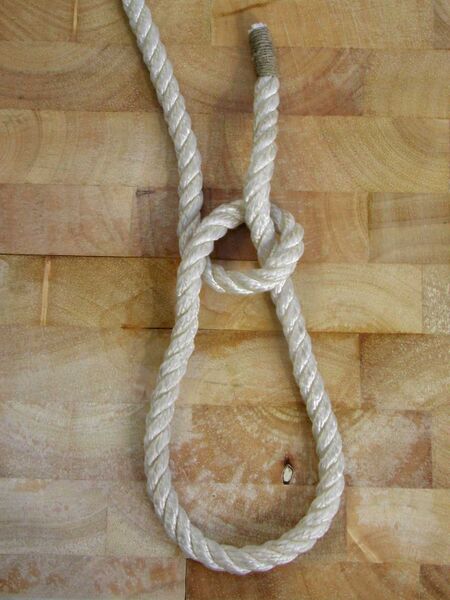 Datei:Palstek I2.jpg