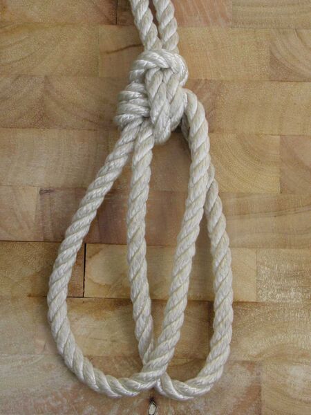 Datei:Palstek doppelt.jpg