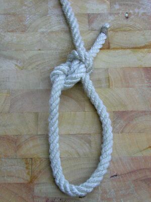 Palstek yosemite 5.JPG