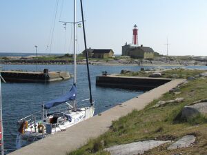 Pintail Utklippan.jpg