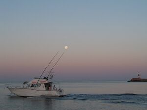 Puerto de Campos1.JPG