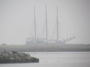 SchonerNebel.jpg