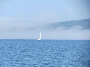 Segler aus Nebel.jpg