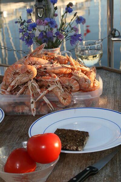 Datei:Sommer2010 066.jpg