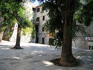 Split in der stadt.jpg