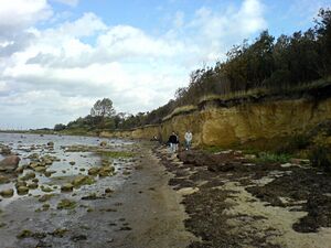 Timmendorf poel kueste.jpg