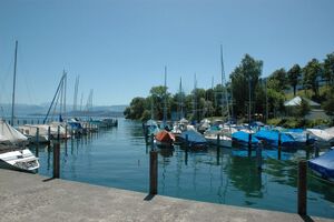 ZS06 Thalwil Faerbeanlage 1.jpg