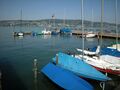 Zürichsee, Hafen Horgen