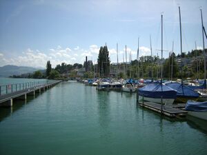 ZS14 Waedenswil Rietliau 1.JPG