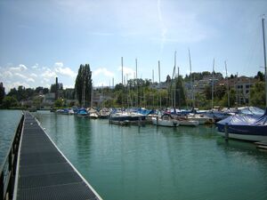 ZS14 Waedenswil Rietliau 2.JPG