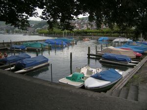 ZS16 Richterswil Horn Sued.jpg