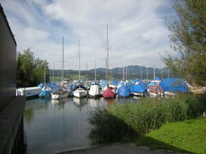 ZS28 Nuolen Seewald 1.JPG