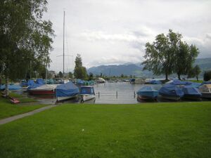 ZS33a Rapperswil Lido 05.JPG