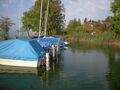 Zürichsee, Hafen Feldbach Schirmensee