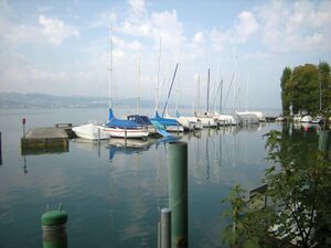 ZS38 Staefa Lattenberg 1.jpg