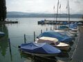 Zürichsee, Hafen Männedorf Dorfhaab
