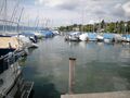 Zürichsee, Hafen Männedorf Weieren
