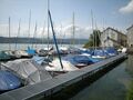 Zürichsee, Hafen Uetikon Chemische Fabrik