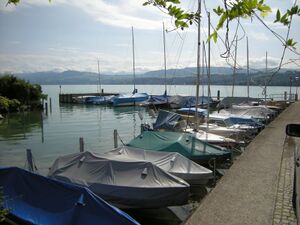 ZS43a Meilen Hirschen 1.JPG