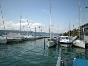 ZS43b Meilen Portier 1.JPG