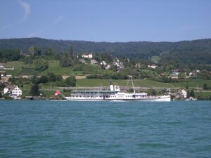 ZS Dampfschiff Zuerich.JPG