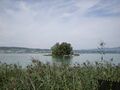 Insel Schönenwerd bei Richterswil
